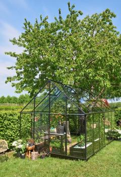 Gewächshaus Halls Qube+ 812 9,9 m² schwarz 3mm Sicherheitsglas