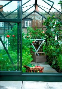 Preview: Gewächshaus Halls Popular 106 6,2m² Alu grün 3mm Blankglas