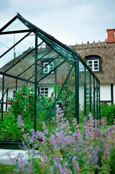 Preview: Gewächshaus Halls Popular 106 6,2m² Alu grün 3mm Blankglas